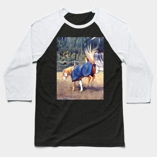 American Paint Horse Baseball T-Shirt